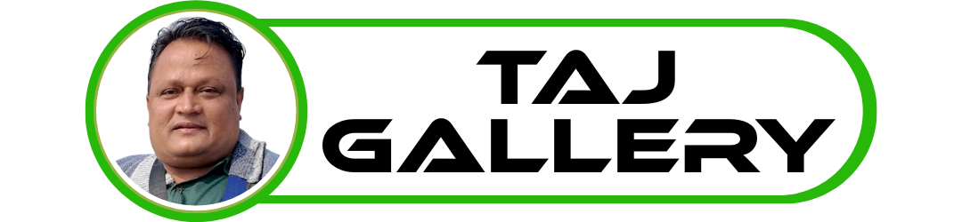 tajgallerysite